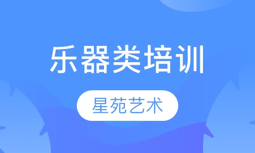 【烟台乐器类培训】烟台乐器类培训价格_烟台星苑艺术-教育宝